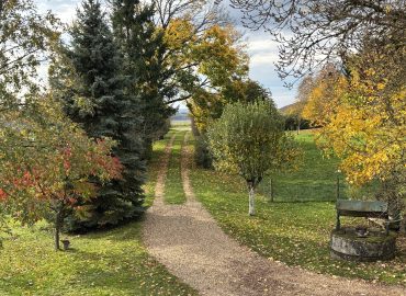 L'automne aux Chaumes